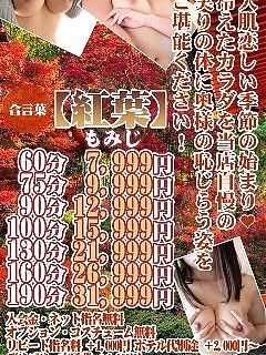 お昼からもご案内♪